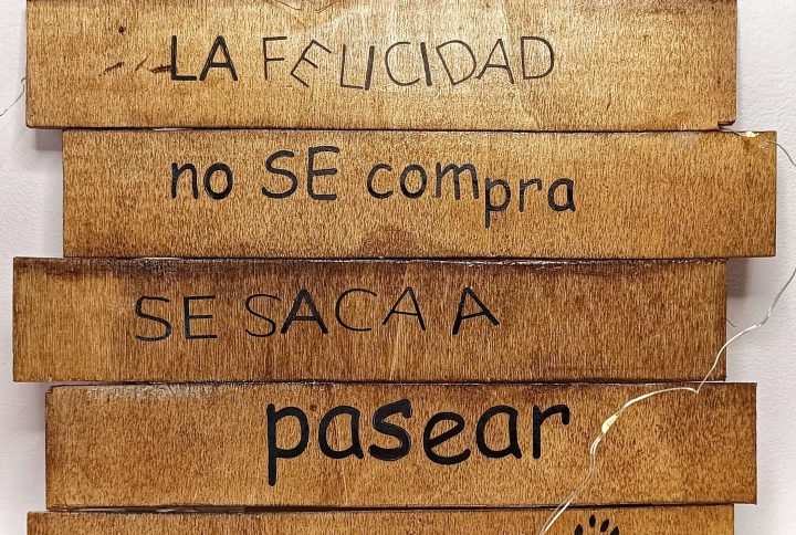 Cuadro, madera, solidario, Mis Amigos Gatunos, gatos, mascotas, callejeros