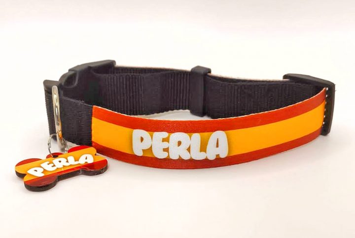 collar, personalizado, estampado, nombre, perro, gato