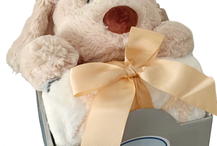 Peluche, perro, conejo, bebé, recién nacido, nombre, regalo, personalizado, manta, mantita, peluche